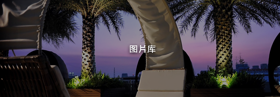 Banner_Gallery ResizeCH